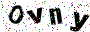 Enter Text as Shown